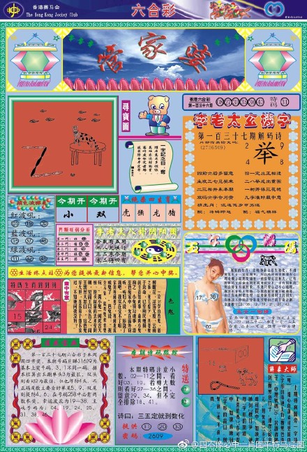 揭秘66O678王中王定碼四不像一肖，神秘數字背后的故事，揭秘神秘數字背后的故事，揭秘66O678王中王定碼四不像一肖的傳說