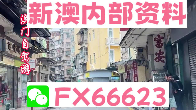 新澳精準(zhǔn)資料免費(fèi)提供，探索與實(shí)踐的指南，新澳精準(zhǔn)資料免費(fèi)分享，探索與實(shí)踐的導(dǎo)航指南