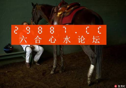 一肖一馬王中王一馬中特，深度解析與SEO優(yōu)化策略，一肖一馬王中王深度解析與SEO優(yōu)化策略探討
