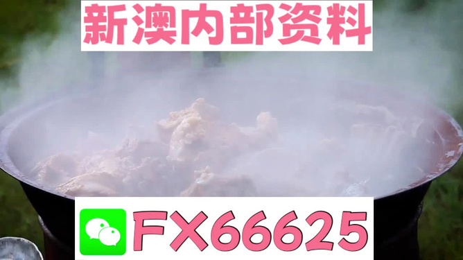 新澳全年免費(fèi)資料大全，一站式獲取優(yōu)質(zhì)資源指南，新澳全年優(yōu)質(zhì)資源免費(fèi)獲取指南