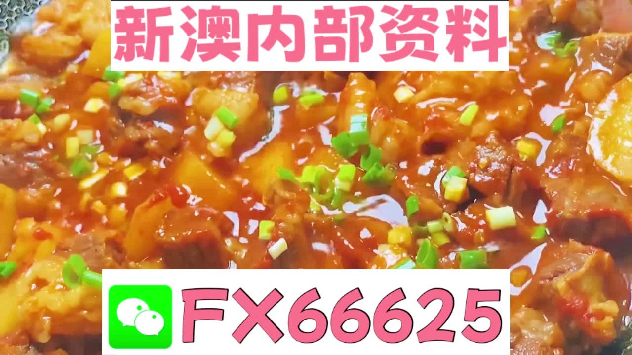 新奧天天免費(fèi)資料大全——探索與優(yōu)化的SEO之旅，新奧天天免費(fèi)資料大全，SEO探索與優(yōu)化之旅