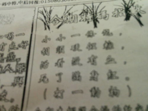 必中劉伯溫猜一肖，揭秘生肖預(yù)測(cè)的神秘面紗，揭秘劉伯溫生肖預(yù)測(cè)，探尋生肖神秘面紗下的真相