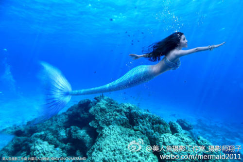 澳門美人魚最快開獎結(jié)果圖——揭秘?zé)衢T彩票游戲背后的秘密，澳門美人魚彩票開獎揭秘，最新結(jié)果圖與游戲背后秘密探索