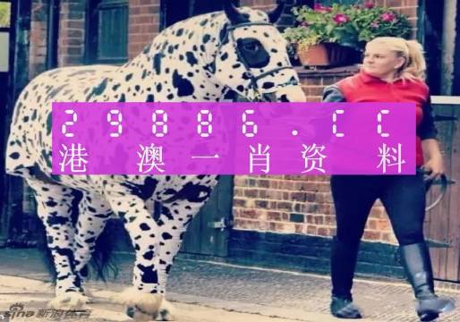 澳彩平肖王中王，一笑一碼的秘密與SEO優(yōu)化策略，澳彩平肖王中王，揭秘一笑一碼背后的SEO優(yōu)化策略