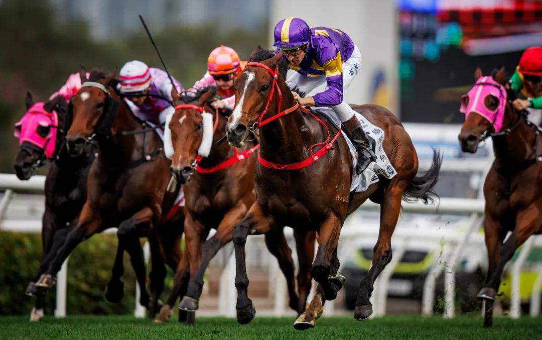 香港賽馬，探索賽馬運(yùn)動(dòng)的激情與榮耀之地——7777788888的獨(dú)特魅力，香港賽馬，激情與榮耀的獨(dú)特魅力探索——777778賽馬運(yùn)動(dòng)之地