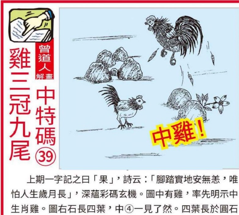 澳門2025全年資料大全正版資料權(quán)威指南，澳門2025全年正版權(quán)威指南，全面資料大全與權(quán)威解讀