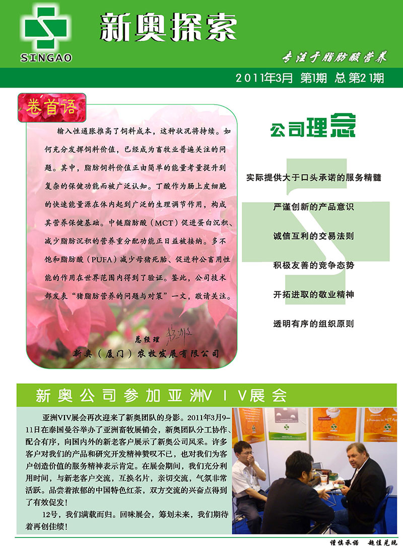2025新澳正版資料精準(zhǔn)解析，2025新澳正版資料精準(zhǔn)解析手冊(cè)