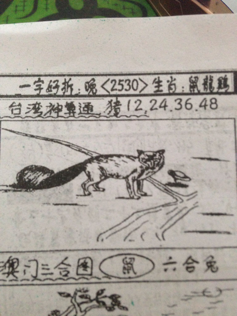 揭秘生肖奧秘，看圖猜一生肖劉伯溫的傳奇故事，揭秘生肖奧秘，劉伯溫傳奇故事中的生肖之謎探索