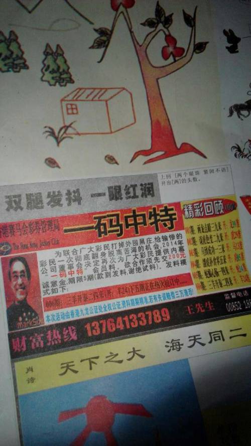 欲錢詩猜一肖——探尋王中王的奧秘，探尋王中王的奧秘，欲錢詩猜一肖