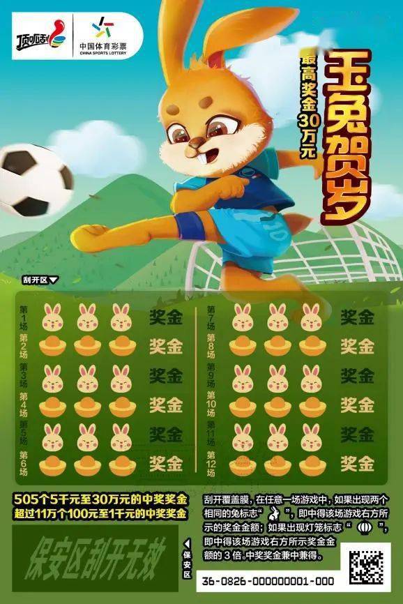 王中王一肖中特兔費(fèi)，探索關(guān)鍵詞背后的奧秘，探索關(guān)鍵詞王中王一肖中特兔費(fèi)背后的奧秘