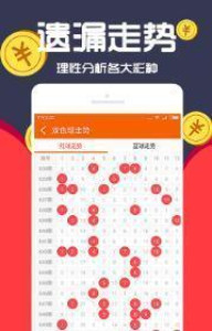王中王一肖十，深度解析與SEO優(yōu)化策略，王中王一肖十深度解析與SEO優(yōu)化策略探討