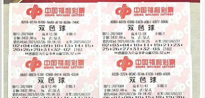 王中王084期指一生肖，解讀背后的秘密與生肖運(yùn)勢(shì)分析，王中王084期生肖揭秘，秘密解讀與運(yùn)勢(shì)展望