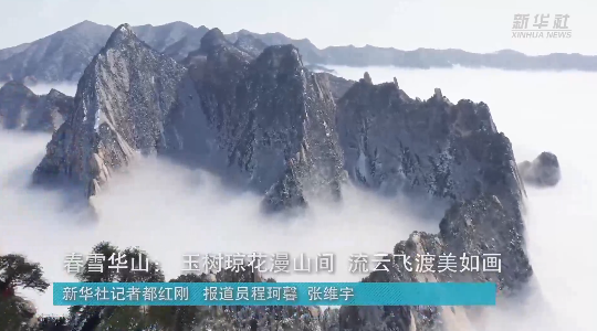澳門(mén)最精準(zhǔn)龍門(mén)，探索真正的精準(zhǔn)之道，澳門(mén)最精準(zhǔn)龍門(mén)，揭秘真正的精準(zhǔn)之道