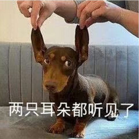 王中王四不象必中一肖，揭秘背后的秘密與策略，揭秘王中王四不象必中一肖背后的秘密與策略之道