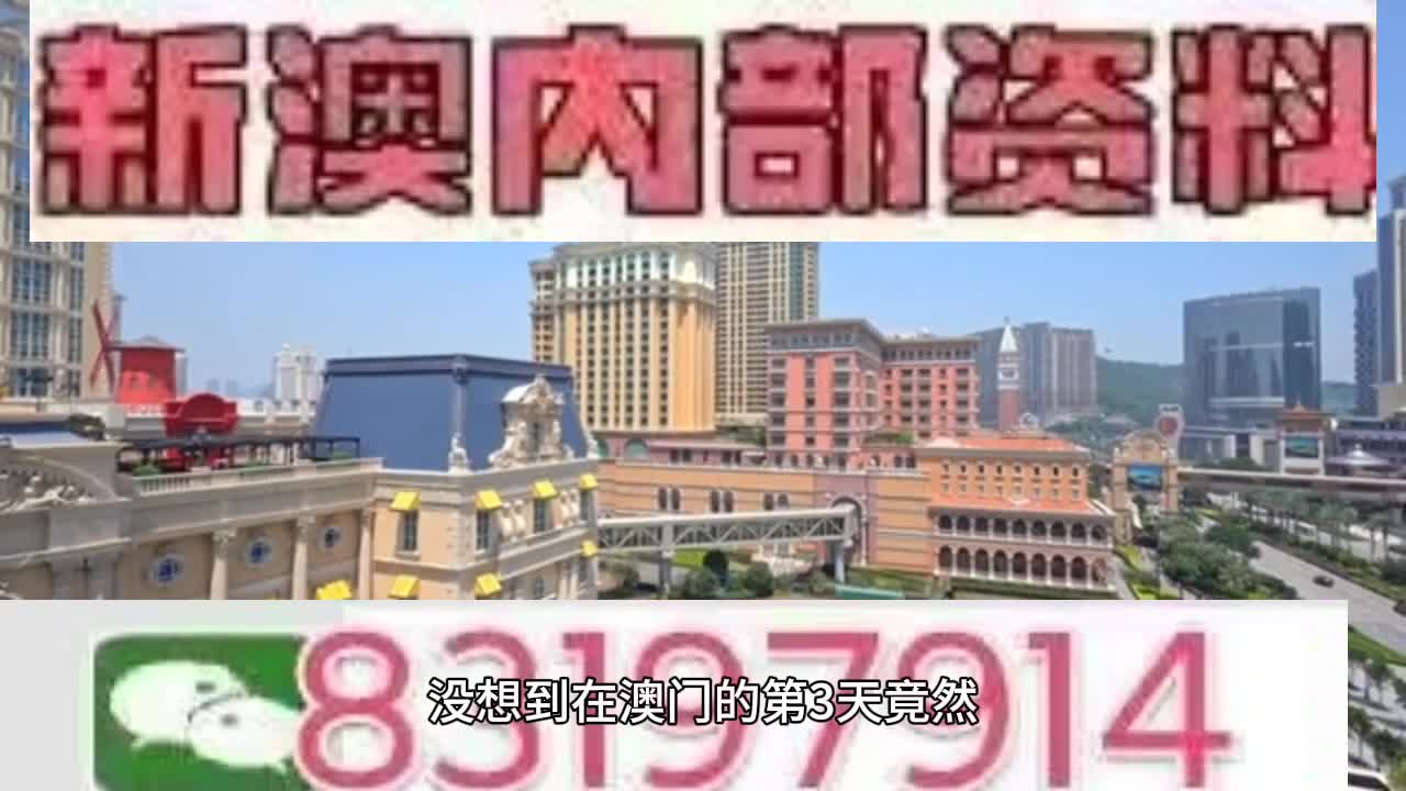 新澳門今晚必開一肖一特，探索生肖與特碼的魅力，澳門生肖特碼探索，今晚必開一肖一特之魅力