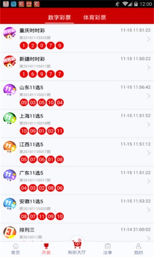 一碼一肖，揭秘背后的秘密與探索其獨特魅力，揭秘一碼一肖背后的秘密與獨特魅力探索