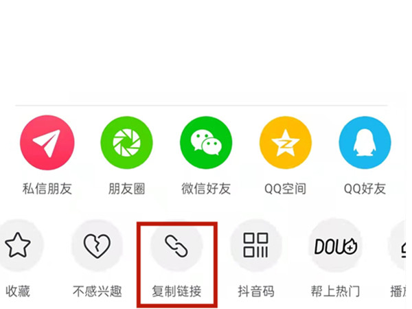白小姐王中王中特一肖，神秘傳奇與SEO探索，神秘傳奇與SEO探索，白小姐王中王中特一肖的奧秘