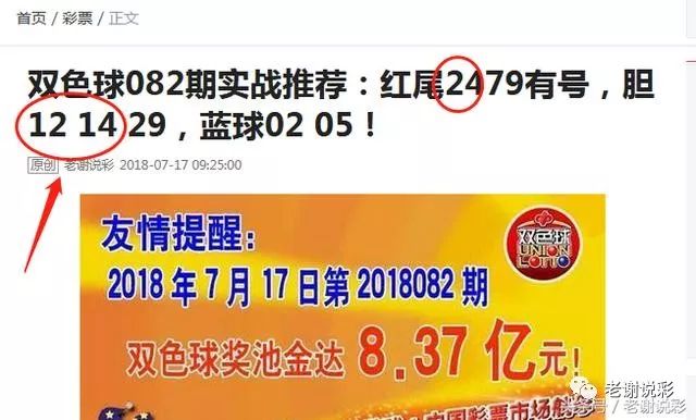 王中王082期指一生肖——探尋生肖魅力，洞悉運(yùn)勢奧秘，探尋生肖魅力，揭秘運(yùn)勢奧秘——王中王生肖運(yùn)勢解析 082期