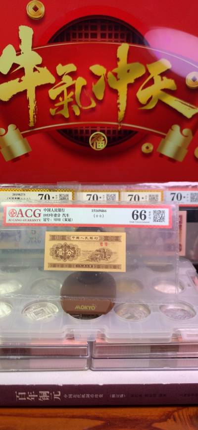 王中王平特一肖125，揭秘背后的故事與奧秘，揭秘王中王平特一肖背后的故事與奧秘 125號揭秘真相