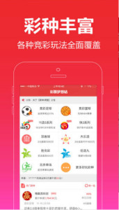 一肖王中王，探尋生肖魅力與SEO優(yōu)化之道，生肖魅力探尋與SEO優(yōu)化策略解析