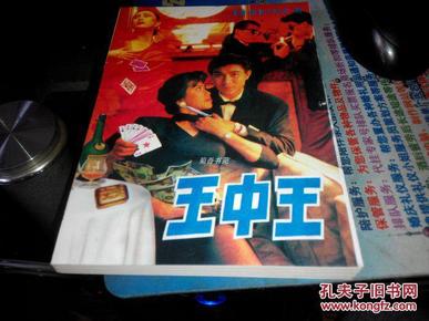 王中王資料一肖中特小說，深度解析與探索，王中王資料一肖中特小說的深度解析與探索之旅
