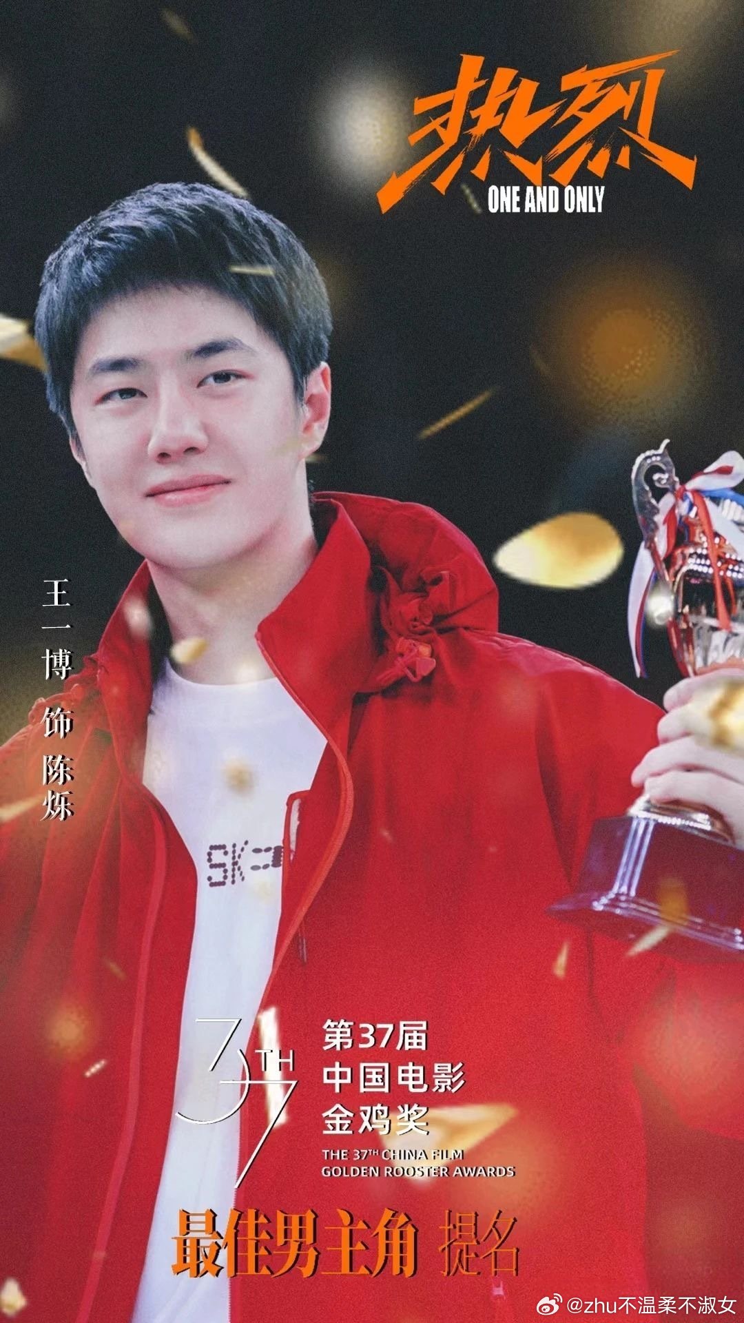 王中王一肖一特一中一中，探尋背后的故事與奧秘，探尋王中王一肖背后的故事與奧秘