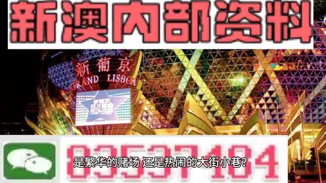 新澳門精準(zhǔn)資料大全管家婆料，探索與解析，澳門精準(zhǔn)資料大全解析，探索管家婆料內(nèi)幕
