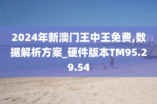 揭秘未來之星，2025新澳王中王，揭秘未來之星，2025新澳王中王風采展示