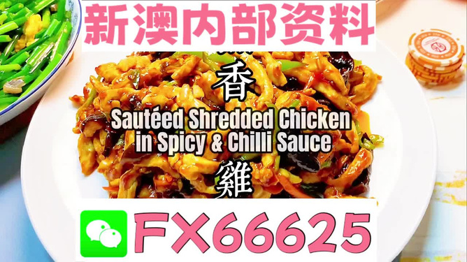 探索未來，揭秘2025年全新免費資料大全新奧精的來源與免費共享趨勢，揭秘未來，2025年全新免費資料的共享趨勢與來源探索