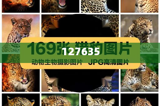 精準(zhǔn)新傳真，揭秘?cái)?shù)字組合7777788888的神秘面紗，揭秘?cái)?shù)字組合7777788888的神秘面紗，精準(zhǔn)新傳真解讀