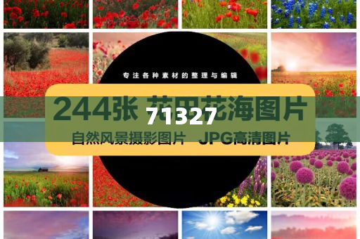 探索777788888管家婆網(wǎng)，一站式解決方案的綜合服務(wù)平臺(tái)，一站式解決方案的綜合服務(wù)平臺(tái)，探索777788888管家婆網(wǎng)