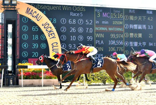 澳門馬免費(fèi)料期期公開，探索背后的真相與秘密，澳門馬免費(fèi)料期期公開背后的真相與秘密探索