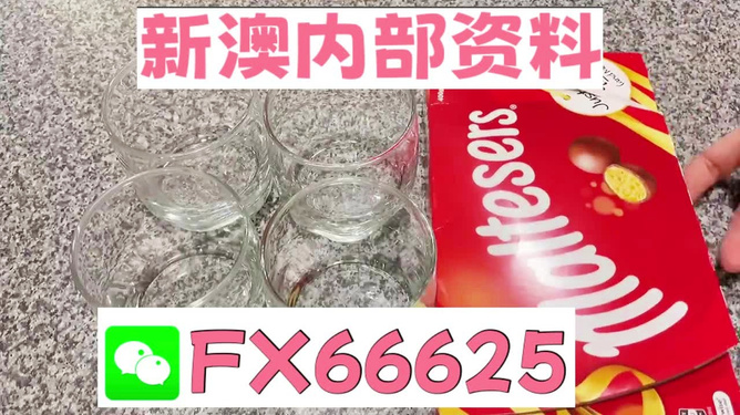 新奧正版免費(fèi)料大全，探索與獲取，新奧正版免費(fèi)料大全，探索與獲取之旅