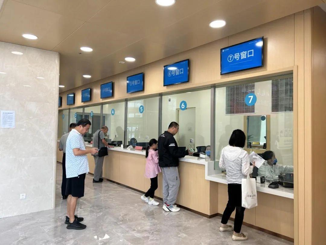 新門內(nèi)部資料免費(fèi)下載——探索與揭秘，新門內(nèi)部資料揭秘，免費(fèi)下載與探索之旅