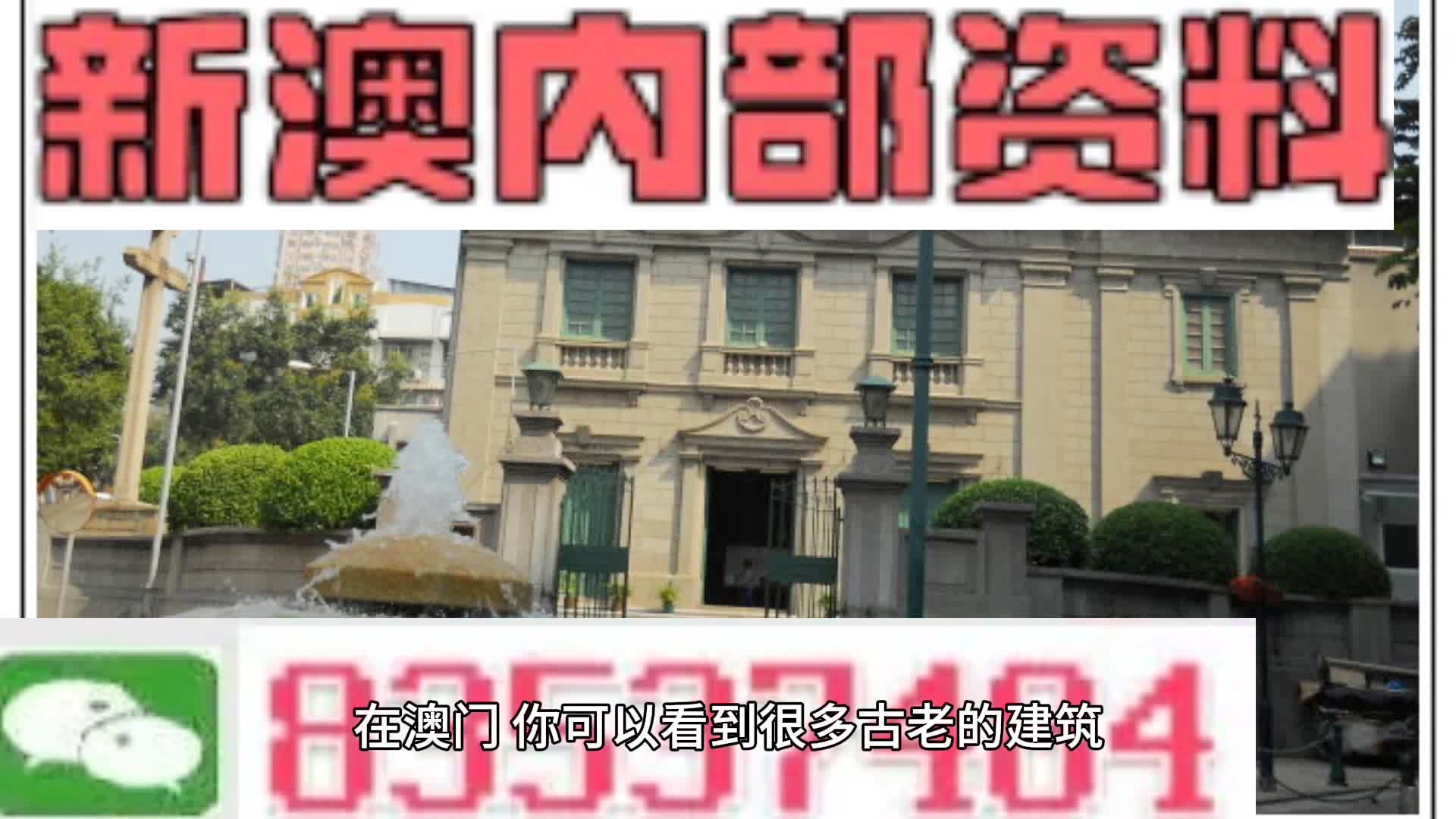 新門內(nèi)部資料大全更新，掌握最新資源，引領(lǐng)行業(yè)前沿，新門內(nèi)部資料更新引領(lǐng)行業(yè)前沿掌握最新資源大全