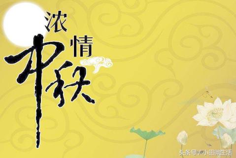 天天開(kāi)好彩免費(fèi)資料大全——你不可錯(cuò)過(guò)的幸運(yùn)之門，天天開(kāi)好彩免費(fèi)資料大全——開(kāi)啟幸運(yùn)之門的必備指南