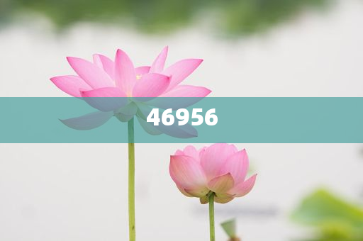 新奧集團(tuán)，邁向2025，天天開好彩的愿景與挑戰(zhàn)，新奧集團(tuán)邁向2025，實(shí)現(xiàn)天天開好彩的愿景與挑戰(zhàn)