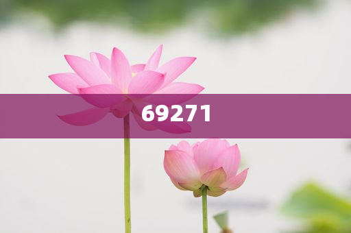 新澳今晚9點(diǎn)30分的精彩瞬間與背后故事揭秘，新澳之夜，精彩瞬間與幕后揭秘 9點(diǎn)30分的震撼時(shí)刻