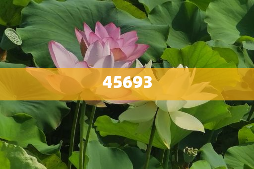全新升級(jí)，7777888888精準(zhǔn)新管家，全新升級(jí)管家，精準(zhǔn)管理，一站式服務(wù) 7777888888新管家重磅來(lái)襲