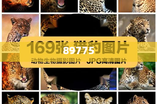 關(guān)于新奧歷史開獎記錄的最新信息，今天公布了嗎？，新奧歷史開獎記錄最新信息公布了嗎？