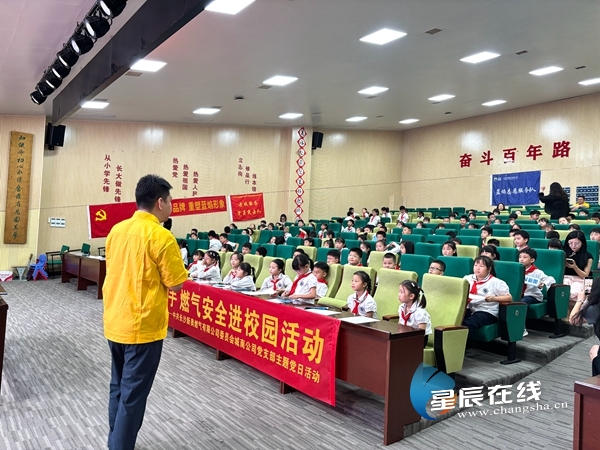 新奧49正版資料，探索與解析，新奧49正版資料深度探索與解析