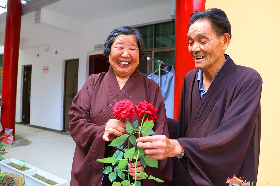 揭秘最準(zhǔn)一碼一肖，揭秘背后的秘密與真相，鳳凰網(wǎng)獨家報道，獨家揭秘，最準(zhǔn)一碼一肖背后的秘密真相（鳳凰網(wǎng)報道）
