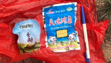 澳門最精準(zhǔn)龍門，探索真實的精準(zhǔn)之道，澳門最精準(zhǔn)龍門，揭秘真實精準(zhǔn)之道