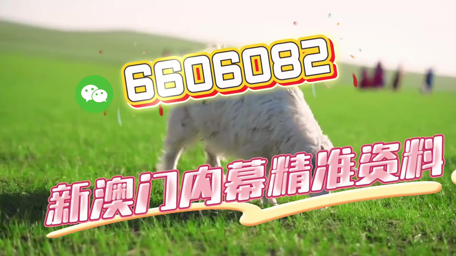 澳門今晚必開一肖一特，揭秘生肖彩票的魅力與預(yù)測技巧，澳門生肖彩票預(yù)測揭秘，一肖一特魅力與預(yù)測技巧探討