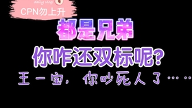 一肖二肖是什么意思——深度解析中國(guó)民俗中的生肖文化，深度解析中國(guó)民俗中的生肖文化，一肖二肖的含義與故事