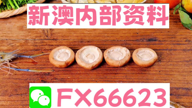 新澳正版資料免費提供，全面解析與深度探索，新澳正版資料全面解析與深度探索，免費提供的指南