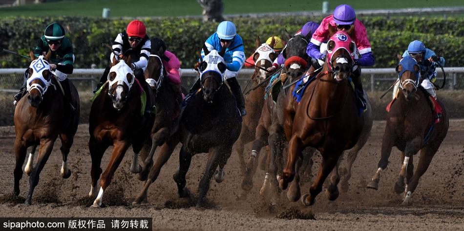 王中王內(nèi)部必中一肖——揭秘彩票背后的秘密，揭秘彩票王中王內(nèi)部必中一肖的神秘秘密