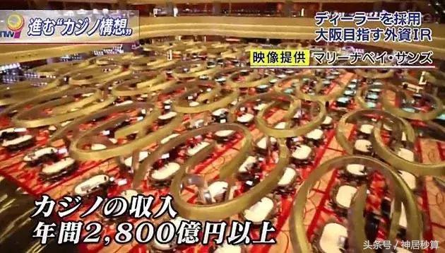 新澳門彩生肖走勢圖，深度解析與預(yù)測，澳門彩生肖走勢圖深度解析及預(yù)測報告