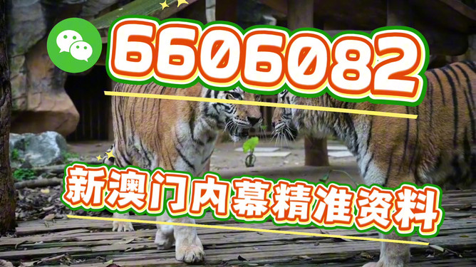 澳門今晚必開一肖一特，深度解析與預測，澳門今晚生肖特碼深度解析與預測，一肖一特必開趨勢探討