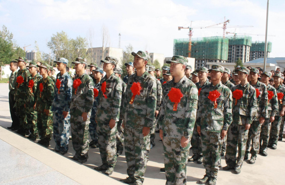 大學(xué)生當(dāng)兵條件全面解析，大學(xué)生當(dāng)兵條件的全面解析